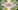 serre polycarbonate ou verre illustration jardin