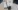 Assurance habitation adh : attestation immédiate en ligne